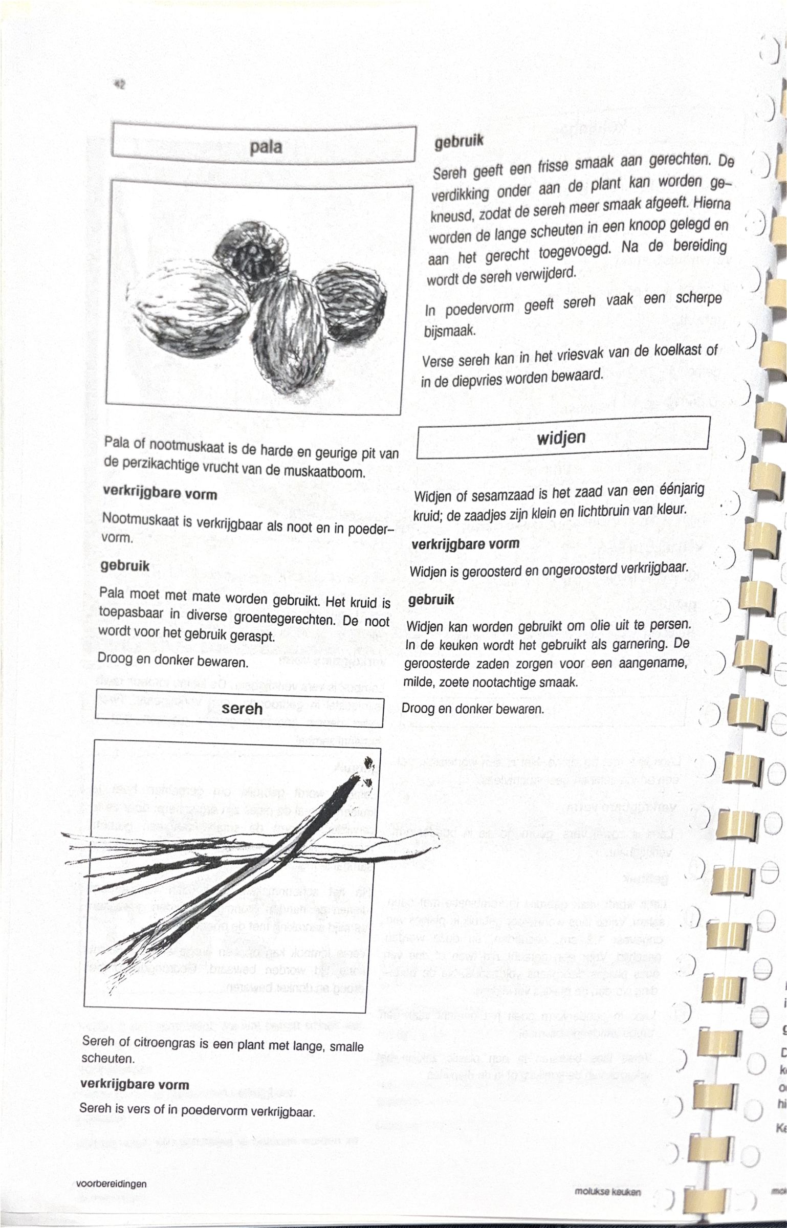Oorspronkelijke scan uit Een kennismaking met de Molukse keuken